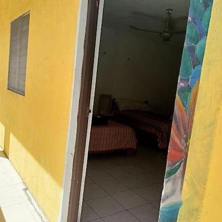 Tucan Playa del Carmen Exterior foto