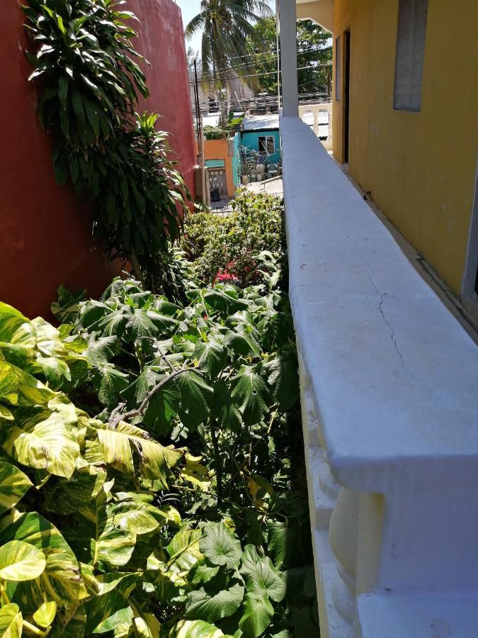 Tucan Playa del Carmen Exterior foto